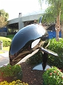 SeaWorld (23)